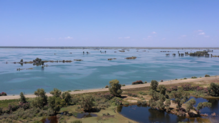 筑牢安全防線 守護(hù)生命之源——沙雅縣多措并舉確保塔河安瀾度汛